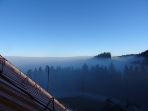 Nebelgrenze im Egggraben