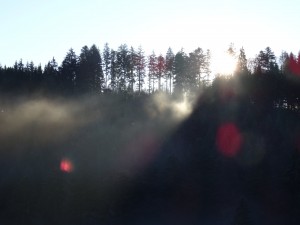 Sonnenaufgang an der Nebelgrenze